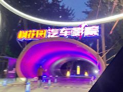 -枫花园汽车电影院(朝阳公园店)