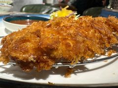 -猫头鹰炸鸡