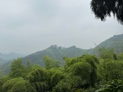 -莫干山风景区