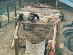 -大连森林动物园