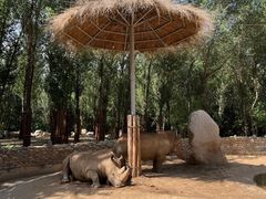 -北京野生动物园