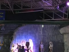 -清迈夜间动物园