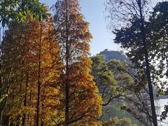 -星湖旅游景区七星岩