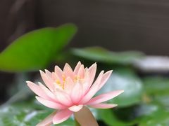-成都老君山
