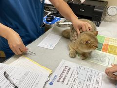 -芭比堂动物医院·24小时·眼科中心(深圳中心)