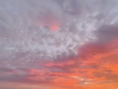 -珍宝海鲜(东海岸海鲜中心)