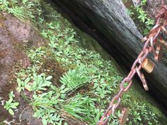 -武夷山风景名胜区-虎啸岩