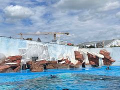 -上海海昌海洋公园