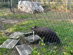 -宿豫区运河湾森林动物园
