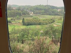 -岳阳东站