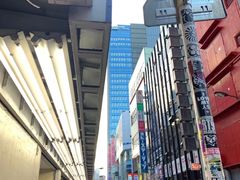 -秋叶原电器街