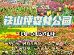 -南山植物园