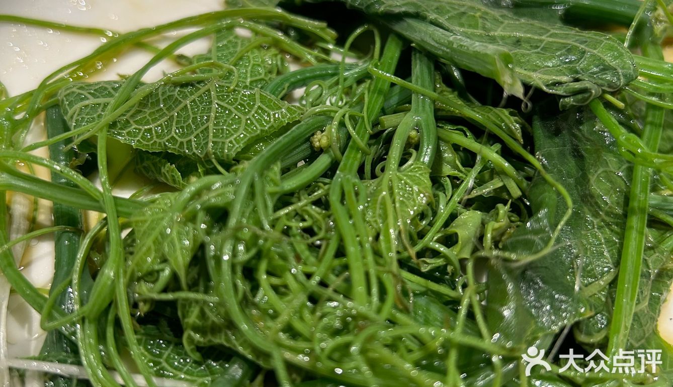 大隐隐于市~藏在南部的艺术小店