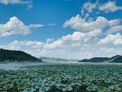 -东钱湖旅游度假区