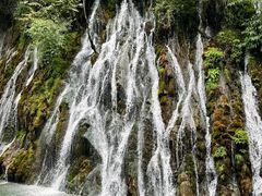 -后柳水乡