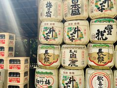 -奈良公园