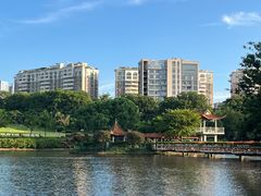 -深圳龙潭公园
