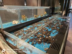 -Mr·Fish鱼鲜生海鲜放题(银泰in99店)