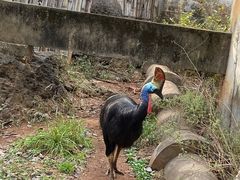 -昆明动物园