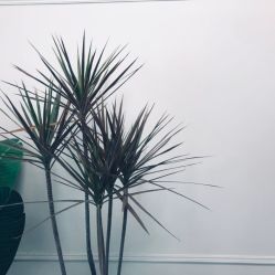 -BM SALON