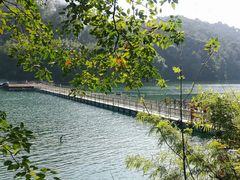-广州市流溪河国家森林公园