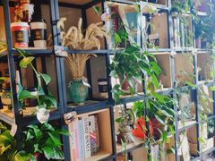 -ZING COFFEE 镜咖啡