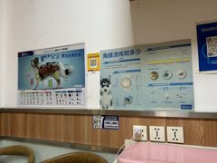 -宠福鑫动物医院(城北分院)