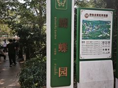 -野象谷景区