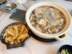 -蘑统田下·野生菌火锅