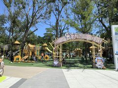 -南戴河国际娱乐中心