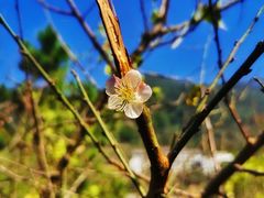-广东天露山旅游度假区