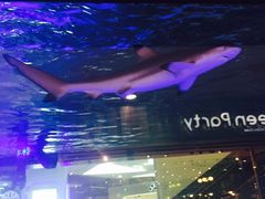 -凯德广场(学府店)