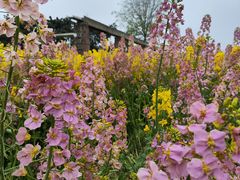 -白鹭湾湿地公园