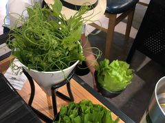 菠菜-东椰·海南椰子鸡火锅(朝阳门店)