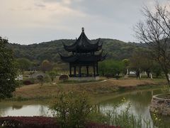 -龙寺生态园