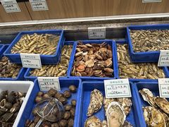 -渡海小渔村.老辈日照菜