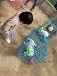 -前小桔亲子创意农场·草莓采摘·露营烧烤