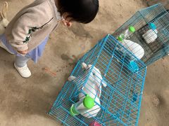 -前小桔亲子创意农场·草莓采摘·露营烧烤