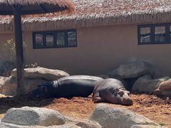 -大连森林动物园