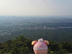 -紫金山山顶公园