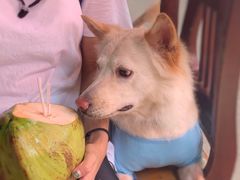 -火炉山森林公园
