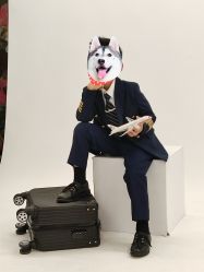 -倾城宝贝儿童摄影(浦东金谊店)