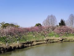 -上海海湾国家森林公园