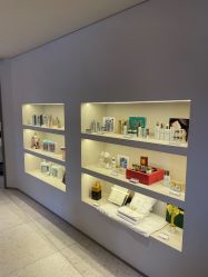 -安吉拉青春化管理中心