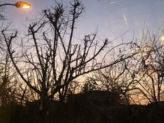 -斯多格书乡(北京大学畅春园店)