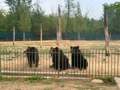 -秦皇岛野生动物园