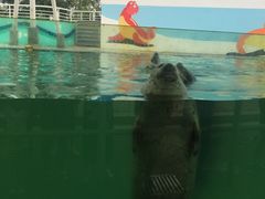 -北戴河圣蓝海洋公园