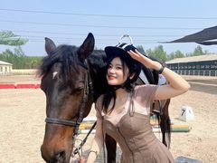 -北京群众马术培训基地