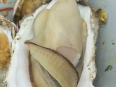 -仙螺岛海鲜自助餐厅(总店)