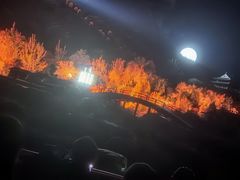 -禅宗少林·音乐大典